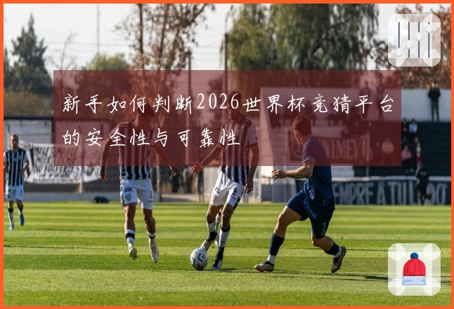 新手如何判断2026世界杯竞猜平台的安全性与可靠性