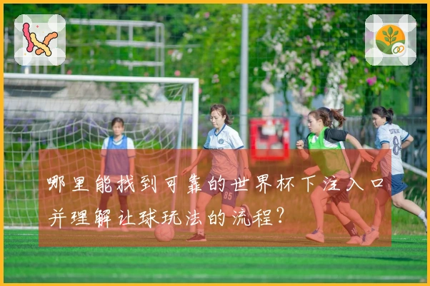 哪里能找到可靠的世界杯下注入口并理解让球玩法的流程？