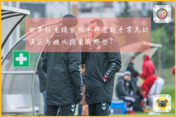 世界杯竞猜官网中那些新手常见的误区与避坑指南有哪些?