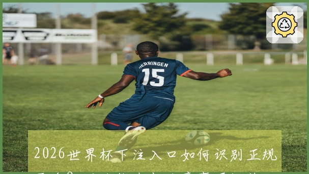 2026世界杯下注入口如何识别正规平台？避坑指南与注意事项汇总