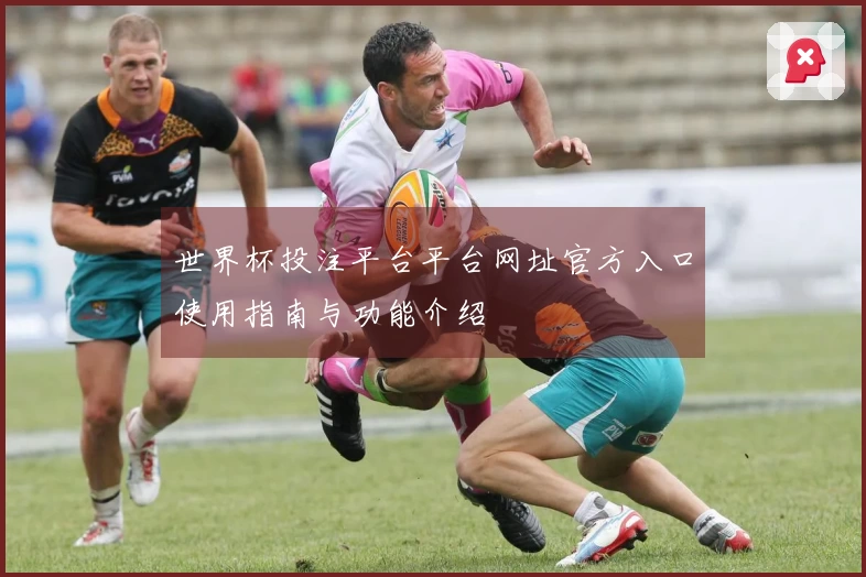 世界杯投注平台平台网址官方入口使用指南与功能介绍