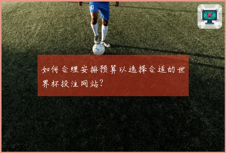如何合理安排预算以选择合适的世界杯投注网站？