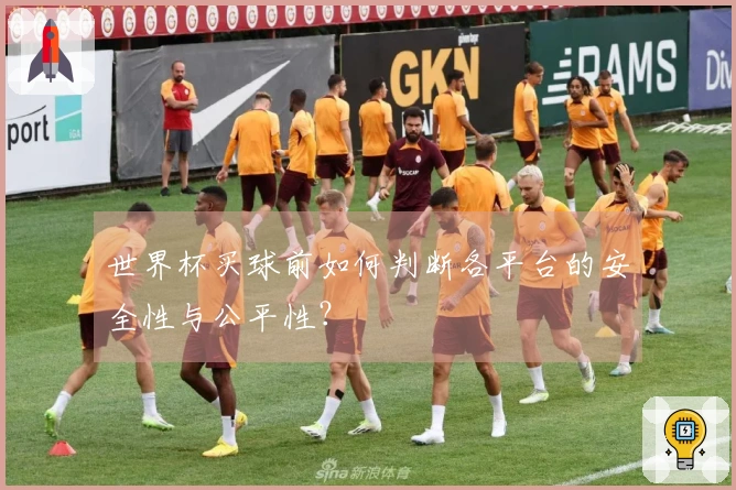 世界杯买球前如何判断各平台的安全性与公平性？