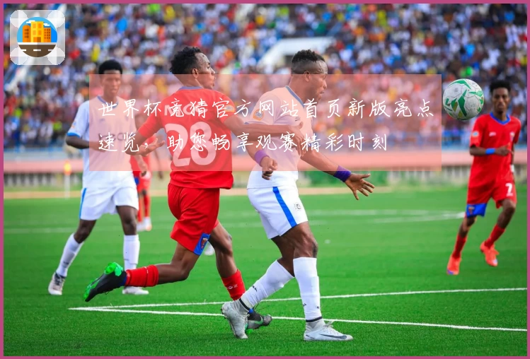 世界杯竞猜官方网站首页新版亮点速览，助您畅享观赛精彩时刻