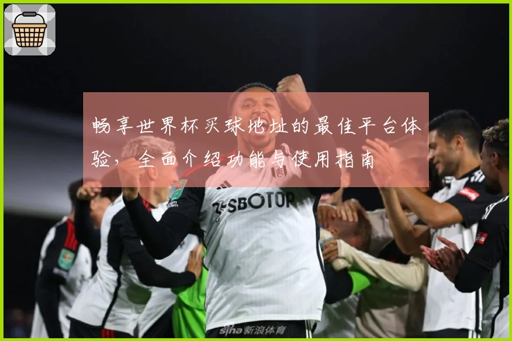 畅享世界杯买球地址的最佳平台体验，全面介绍功能与使用指南