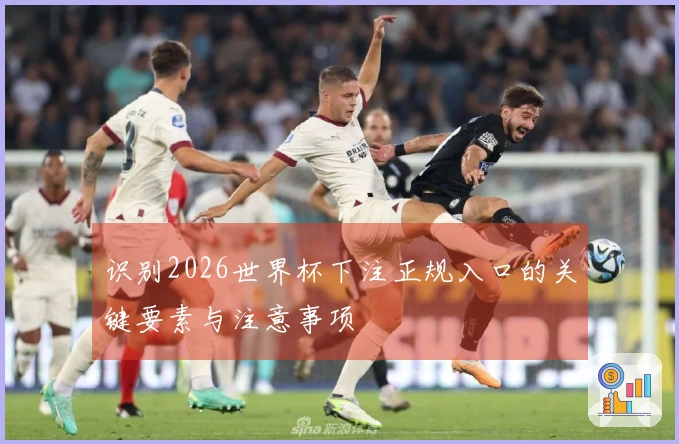 识别2026世界杯下注正规入口的关键要素与注意事项