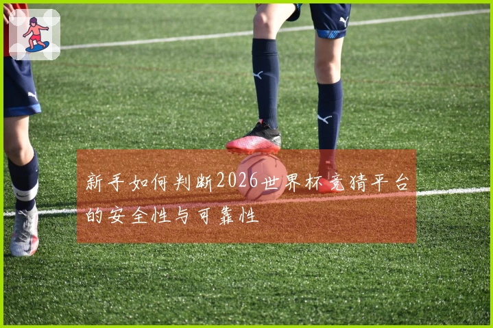 新手如何判断2026世界杯竞猜平台的安全性与可靠性