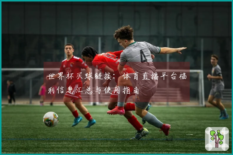世界杯买球链接：体育直播平台福利信息汇总与使用指南