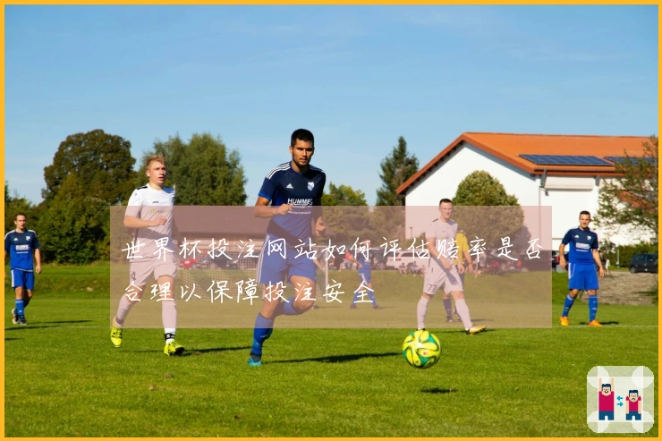 世界杯投注网站如何评估赔率是否合理以保障投注安全