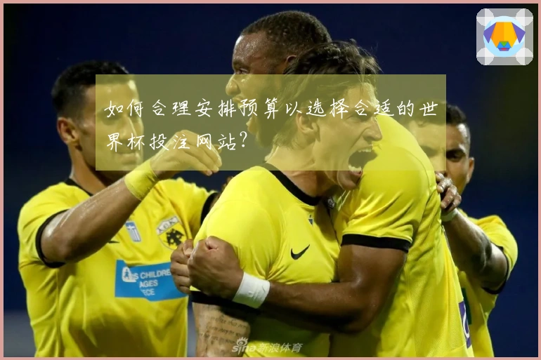 如何合理安排预算以选择合适的世界杯投注网站？
