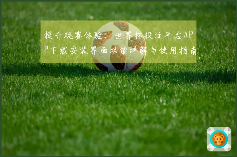 提升观赛体验：世界杯投注平台APP下载安装界面功能详解与使用指南
