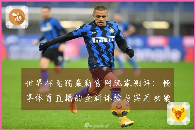 世界杯竞猜最新官网玩家测评：畅享体育直播的全新体验与实用功能介绍