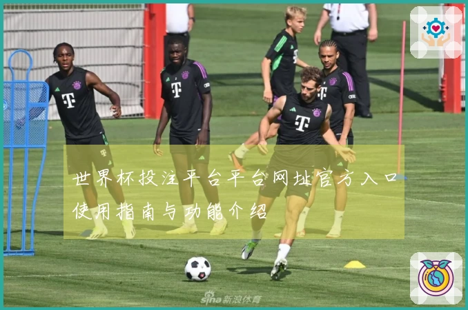 世界杯投注平台平台网址官方入口使用指南与功能介绍