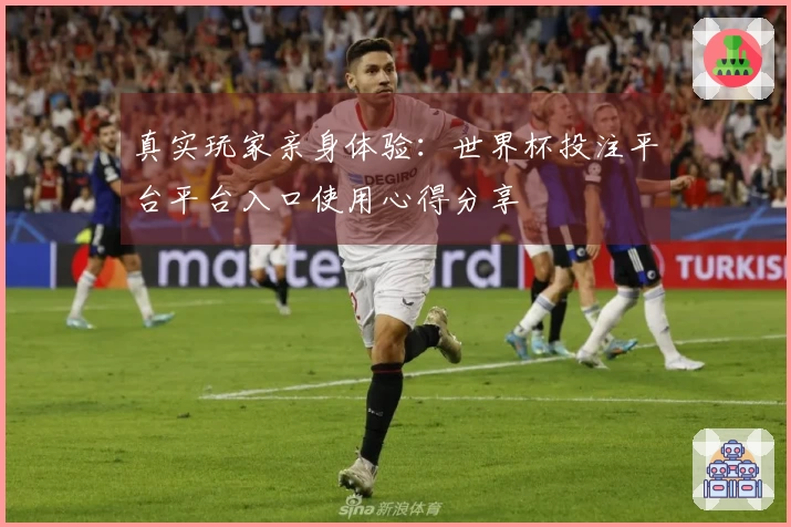 真实玩家亲身体验:世界杯投注平台平台入口使用心得分享