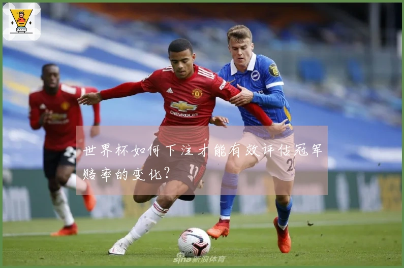 世界杯如何下注才能有效评估冠军赔率的变化？